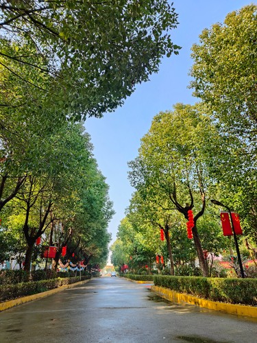 微信图片_20250218151856.jpg